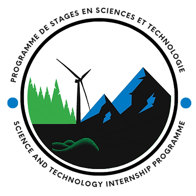 Science and Technology Internship Programme Logo