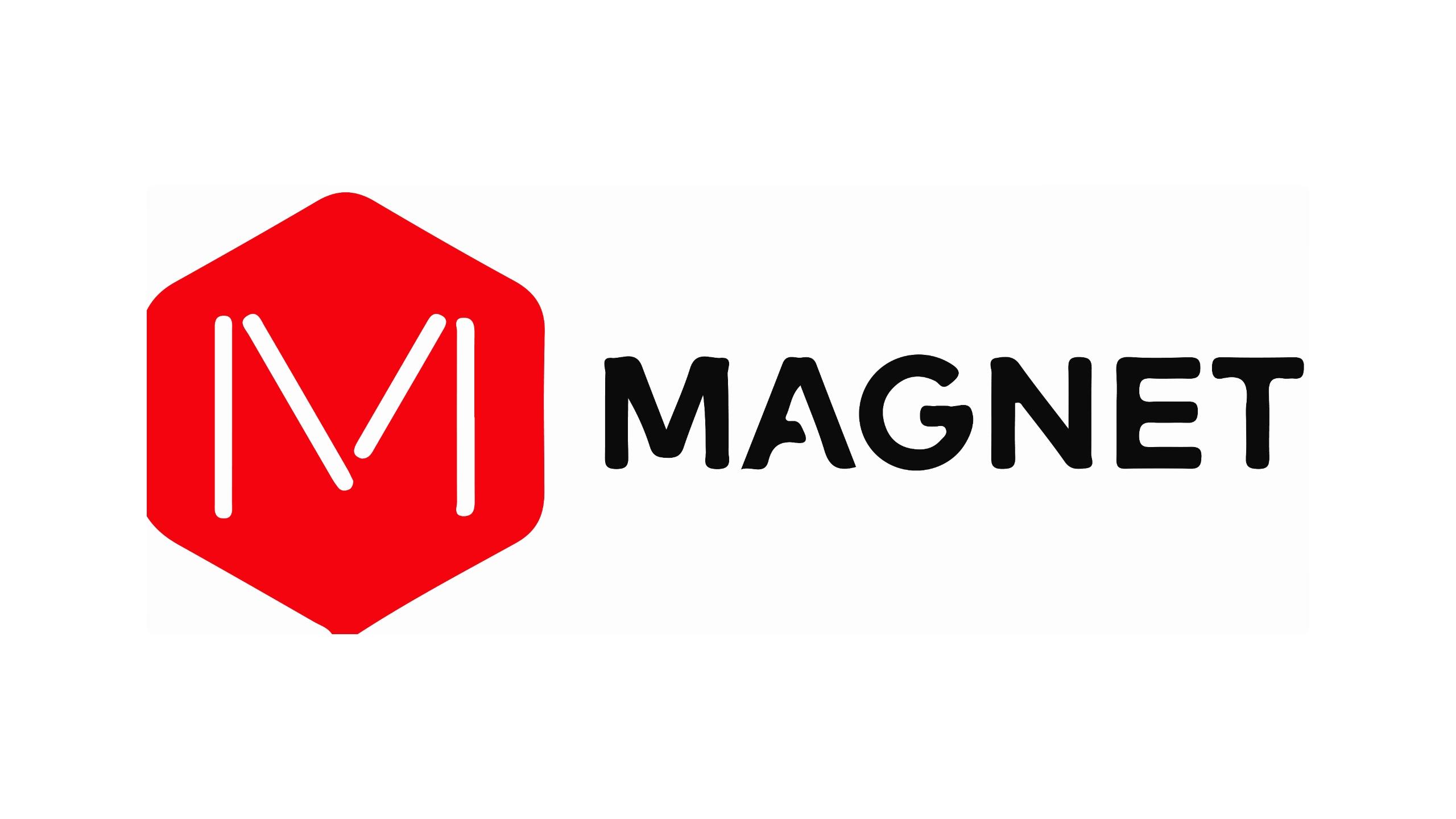 Magnet Logo