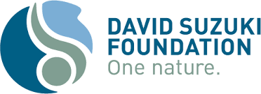 david David Suzuki Foundation logo
