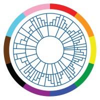 Embedding Project logo