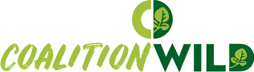 A logo for "Coalition Wild" with stylized green text and a circular icon split in half, each side with a leaf graphic.