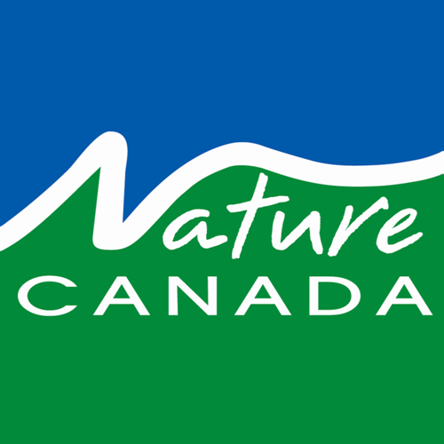 Nature Canada logo Nature Canada logo with white text on green and blue background. "Nature" in script above "CANADA" in capitals, with a wavy white line separating green land from blue sky.