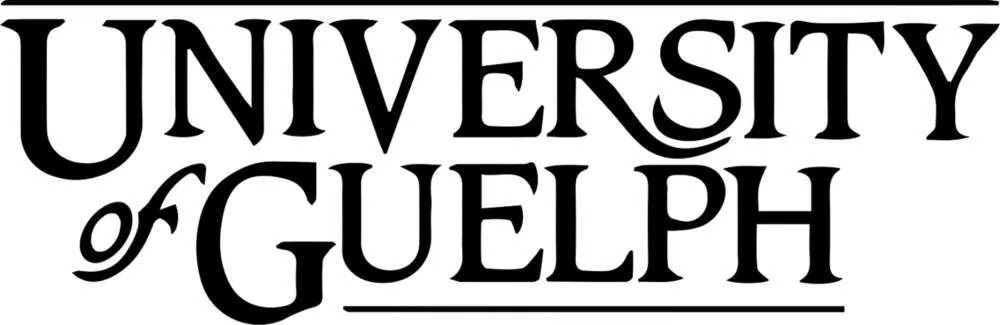 Black text reading "UNIVERSITY of GUELPH" in serif font with decorative styling on the "of" and a thin line underneath.